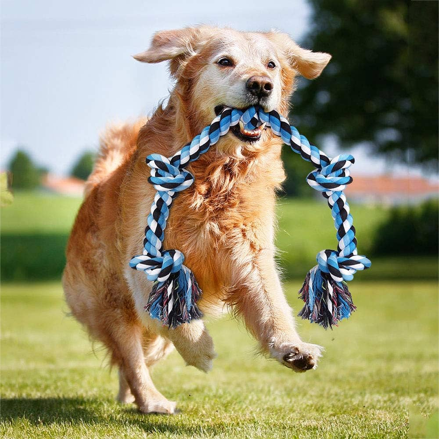 Durable Dog Rope Toy