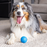 Tough Rubber Dog Ball