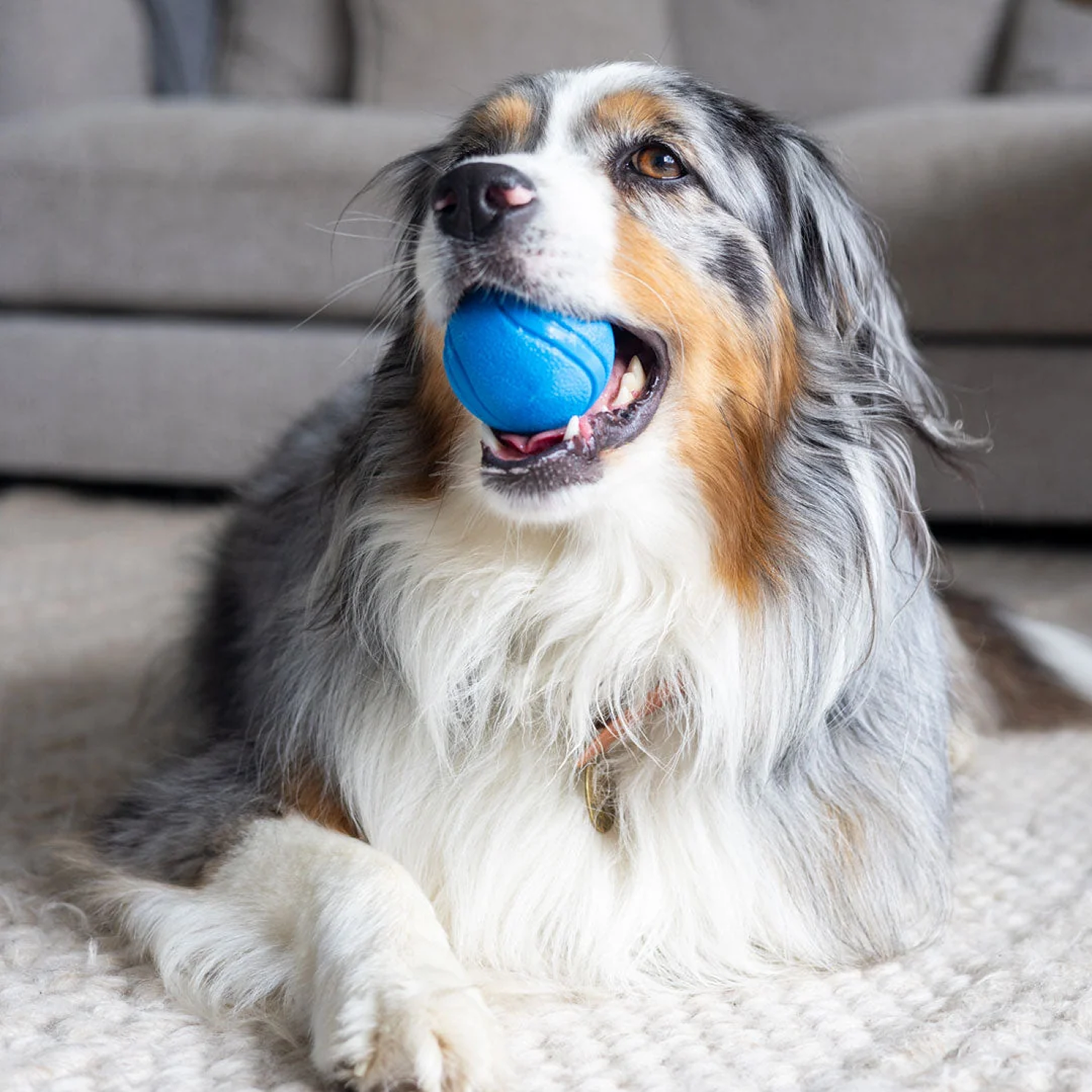 Tough Rubber Dog Ball