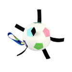 Soccer Ball Dog Toy