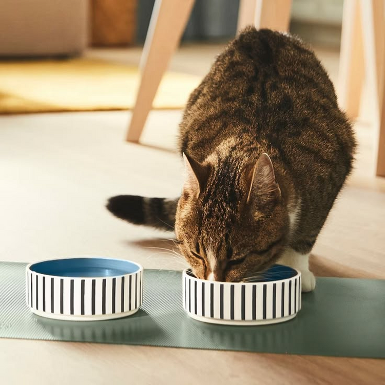 Bowls & Feeders