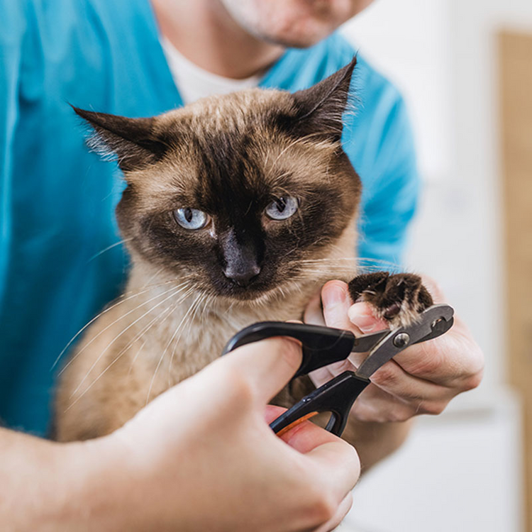 Grooming