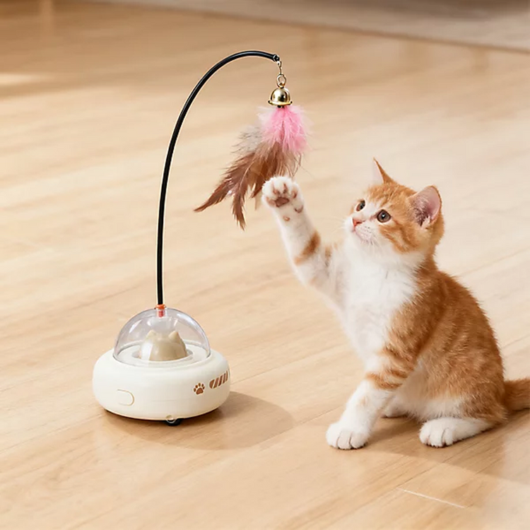 Interactive & Electronic Toys