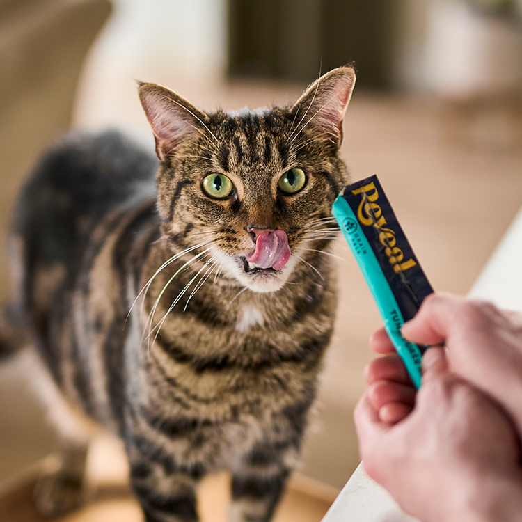 Lickable Treats