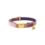Personalized Nameplate Cat Collar