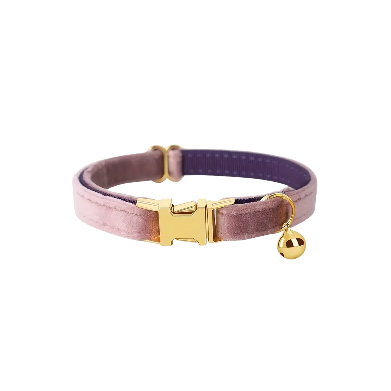 Personalized Nameplate Cat Collar