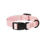 Adjustable Everyday Dog Collar