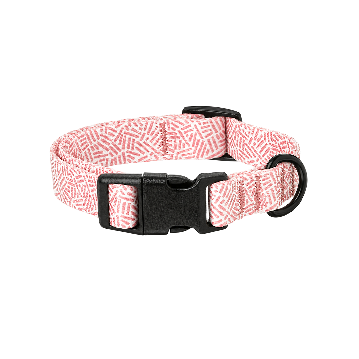 Adjustable Everyday Dog Collar