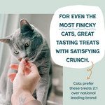 Natural Catnip Herb Blend