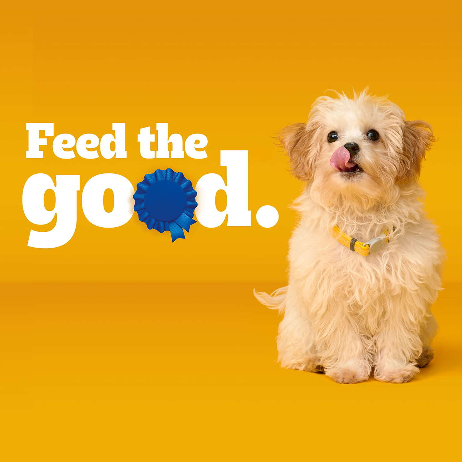 Puppy Daily Nutrition Kibble