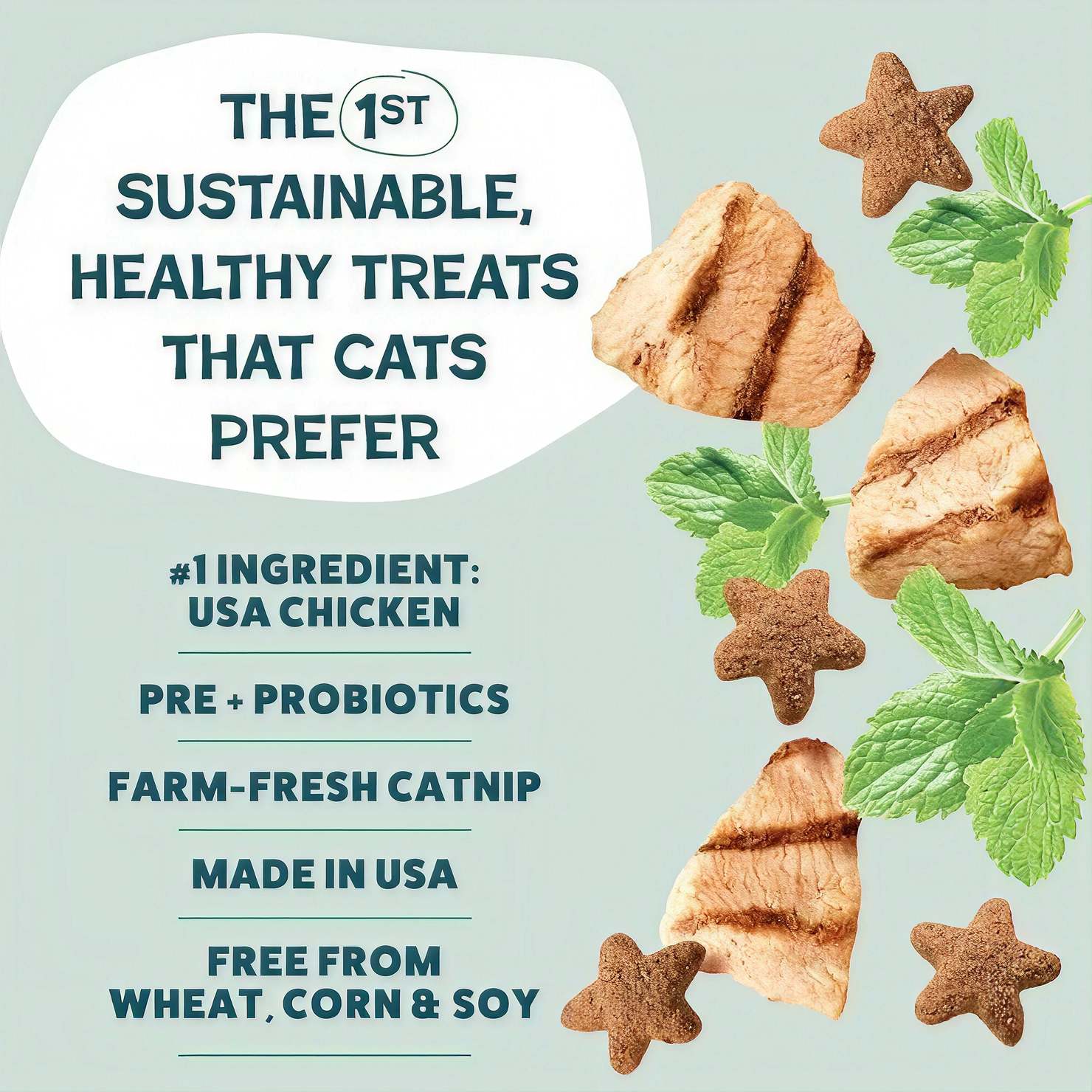 Natural Catnip Herb Blend